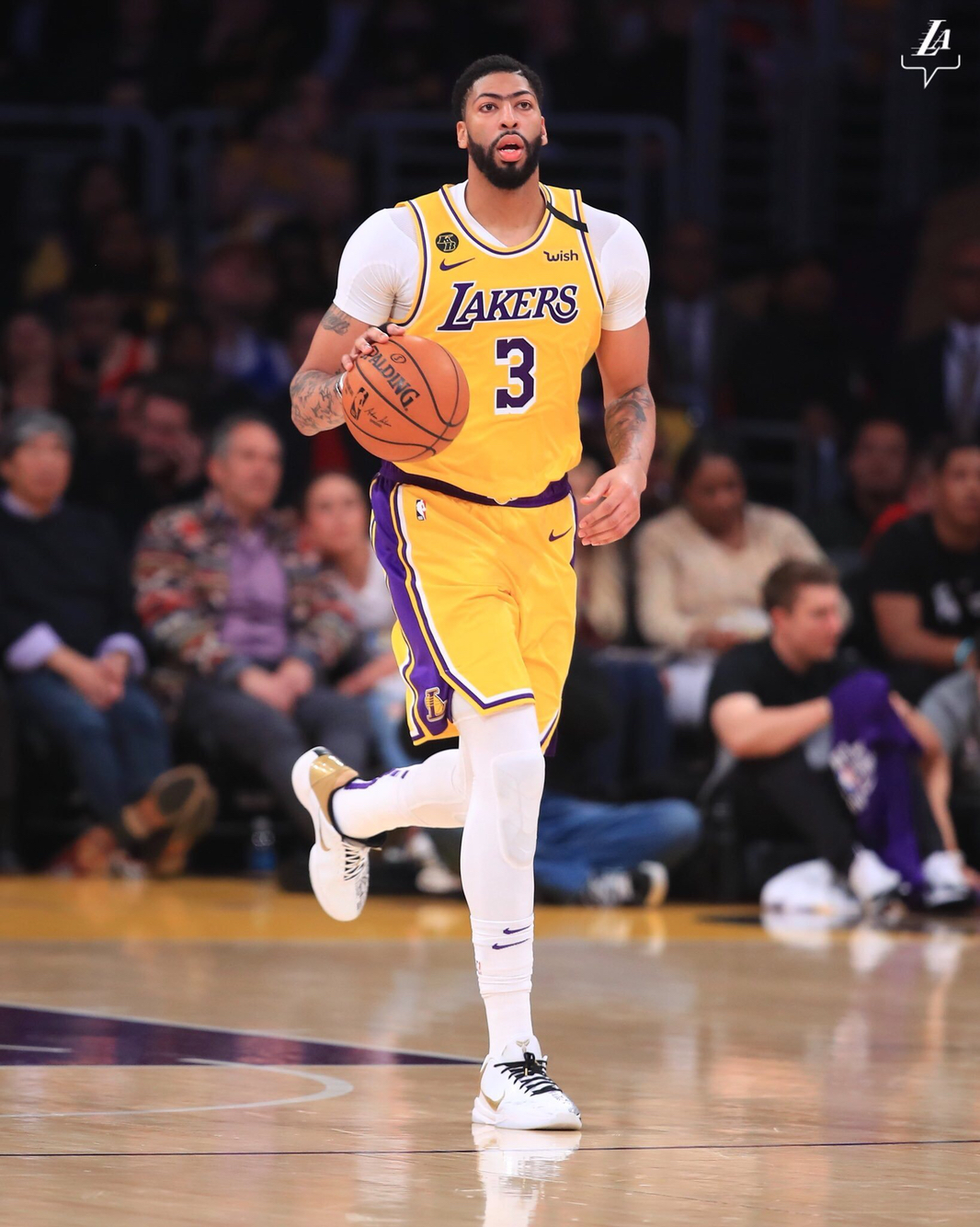 的上诉方案 的上诉方案