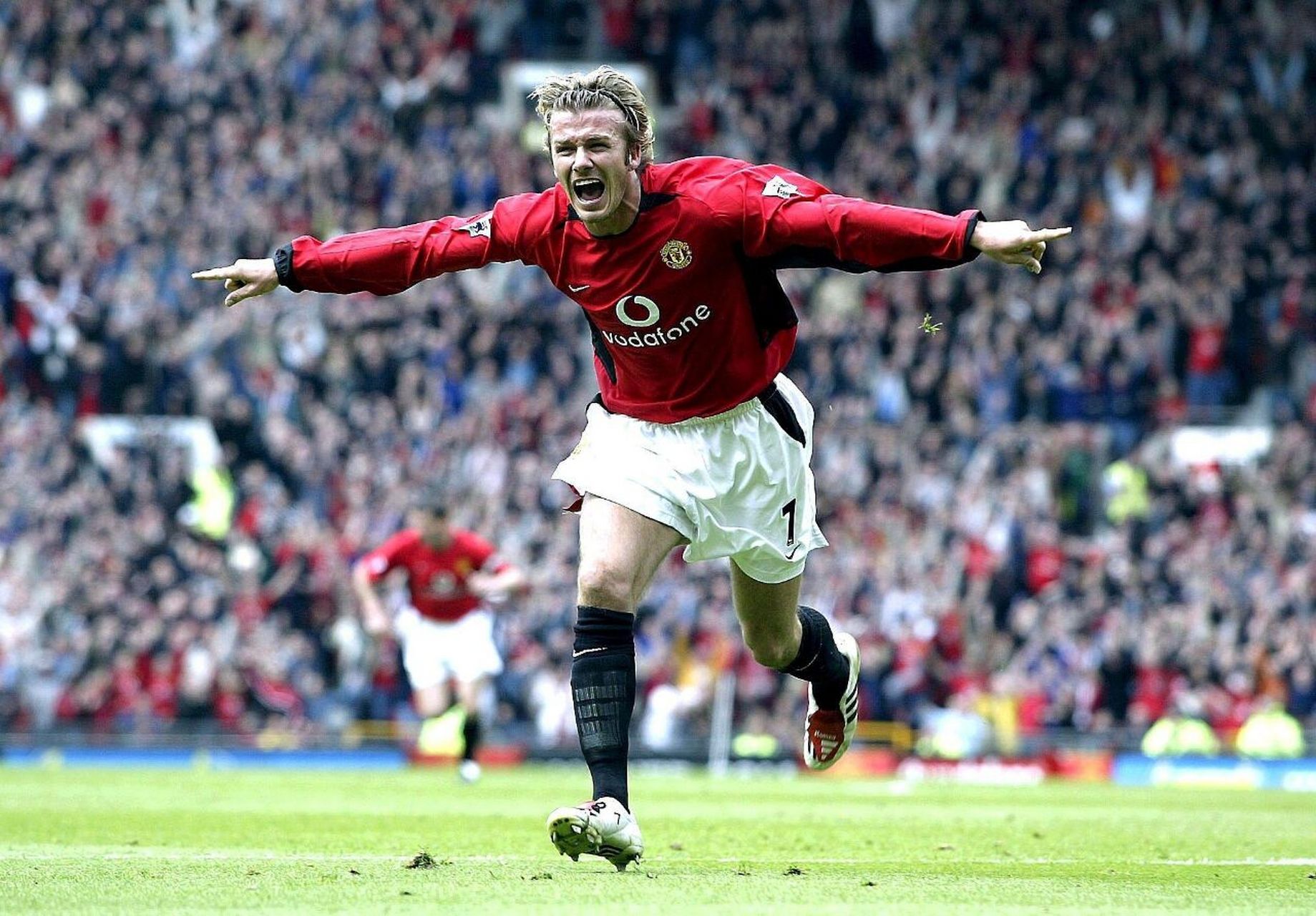 中国女单选 中国女单选